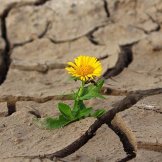 Wo ist sie hin, die Resilienz?