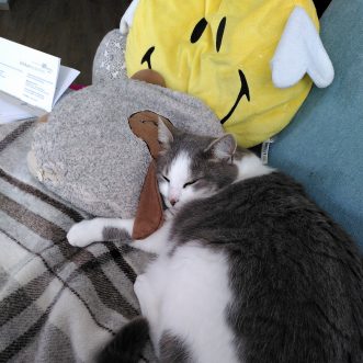 Meine liebe Meggie
