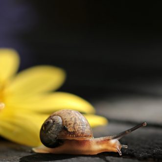 Schleichende Veränderungen