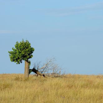 Einsame Entscheidungen